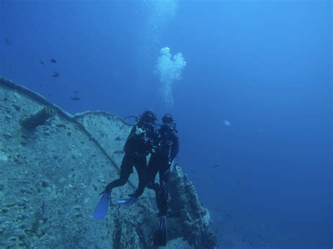 world-underwater society rolex marine scholar|From Seagrass and Shipwrecks to Sharks: A New Scholar Starts.